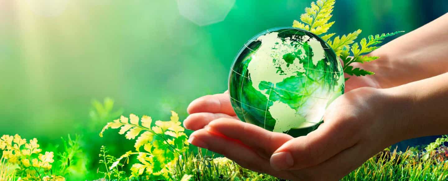 Sustainability. Hand. Green planet. Green earth. Leaves.